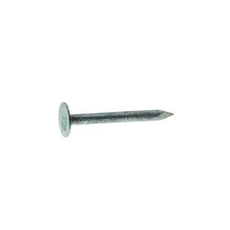 Grip-Rite Common Nail, 1 in L, 2D, Steel, Electro Galvanized Finish, 11 ga 1EGRFG5
